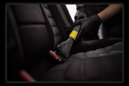 Pro-Grade Showroom Detailing System