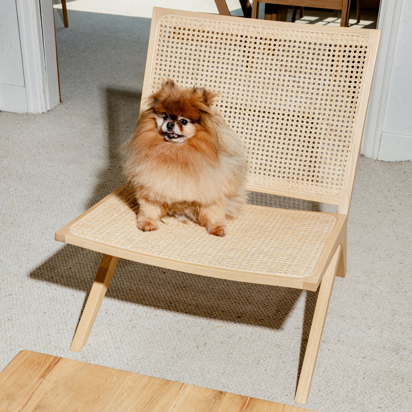 Endless Summer Lounge Chair, Natural Cane/Ash