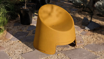 Inner Circle Outdoor Lounge Chair (Set of Two), Lemon
