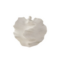 Pontus Sculptural Ceramic Vase / Corals